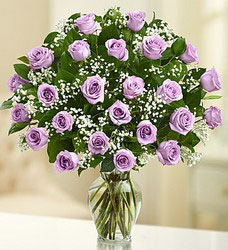 24 Premium Roses - You Choose Color Davenport Florist - Same Day Flower Delivery - Flower Power 